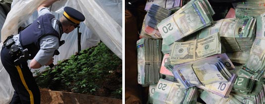 Officer discovering majijuana plants and seized cash